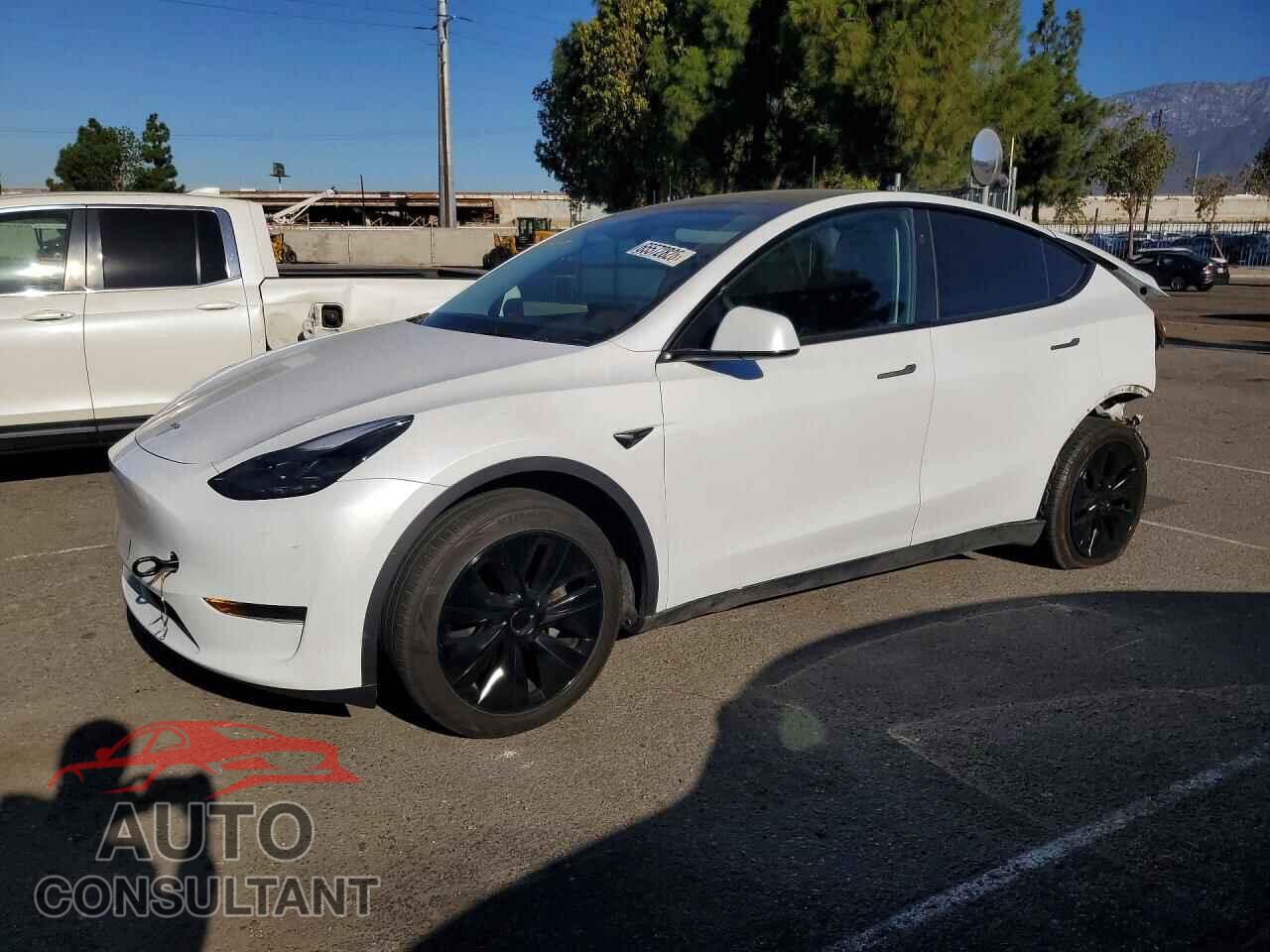 TESLA MODEL Y 2024 - 7SAYGDED8RF128649