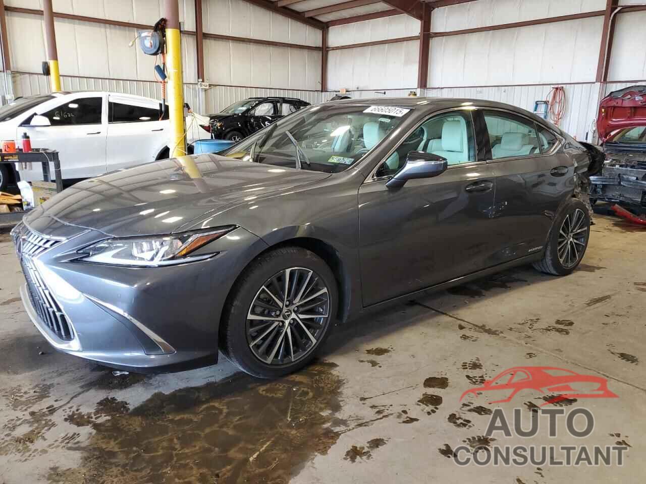 LEXUS ES300 2022 - 58ADA1C10NU013747