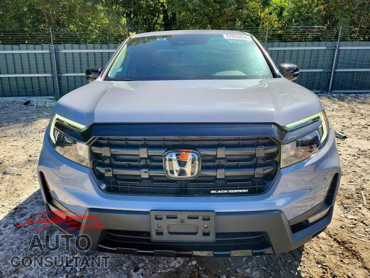 HONDA RIDGELINE 2026 - 5FPYK3F85TB006384