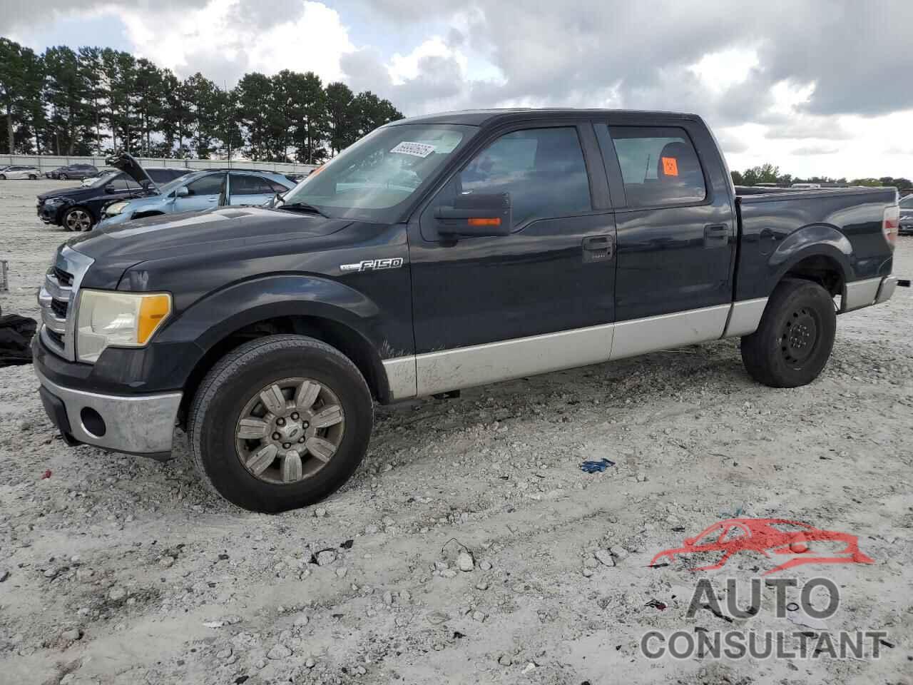 FORD F-150 2010 - 1FTEW1C81AFD18994