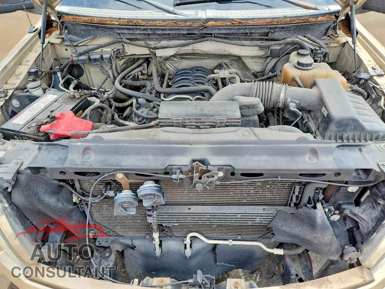 FORD F150 2013 - 1FTFX1EF7DFA51118