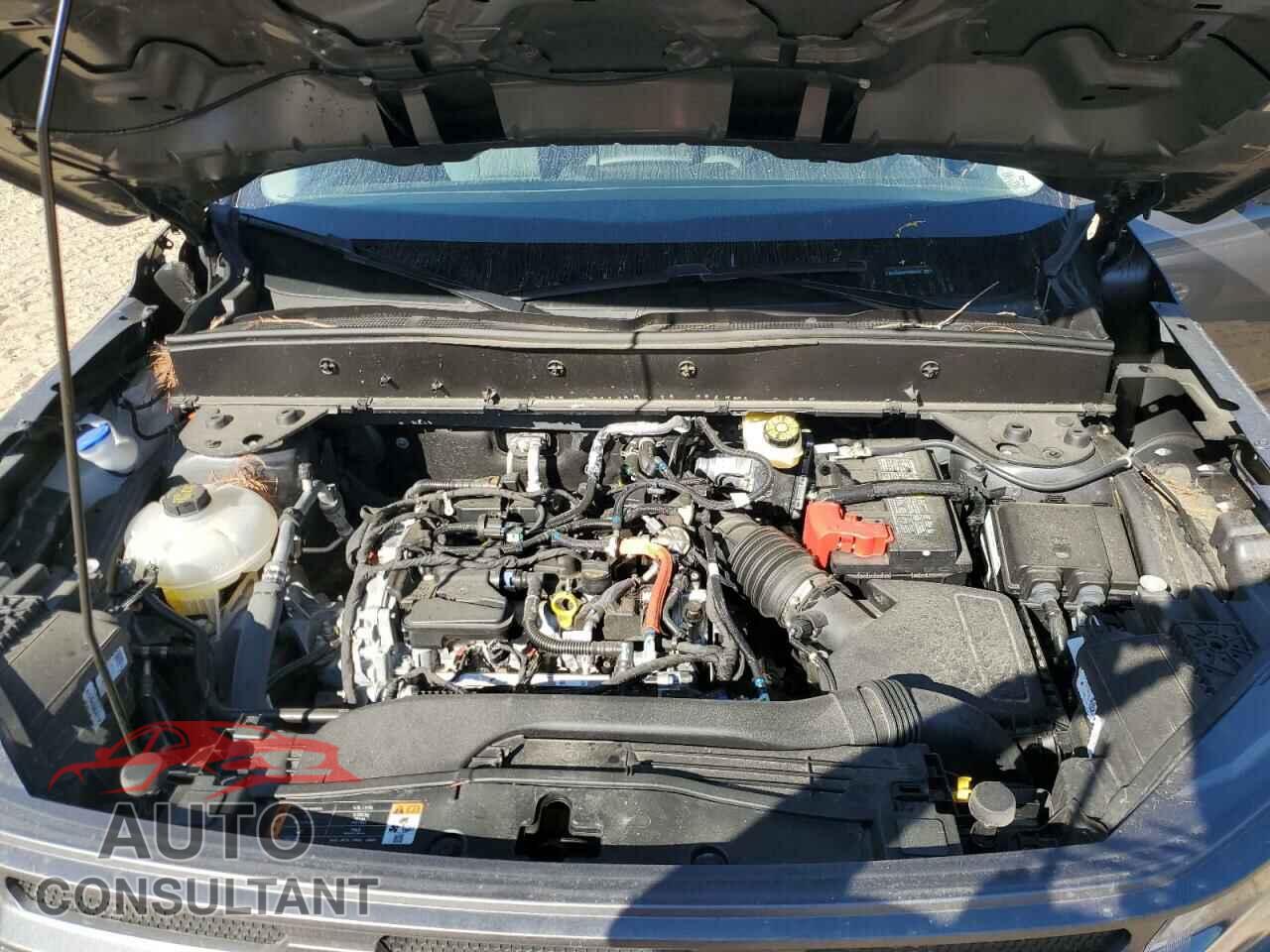 FORD BRONCO 2023 - 3FMCR9B60PRD06307