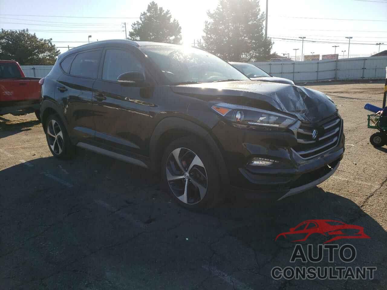 HYUNDAI TUCSON 2017 - KM8J33A24HU363382
