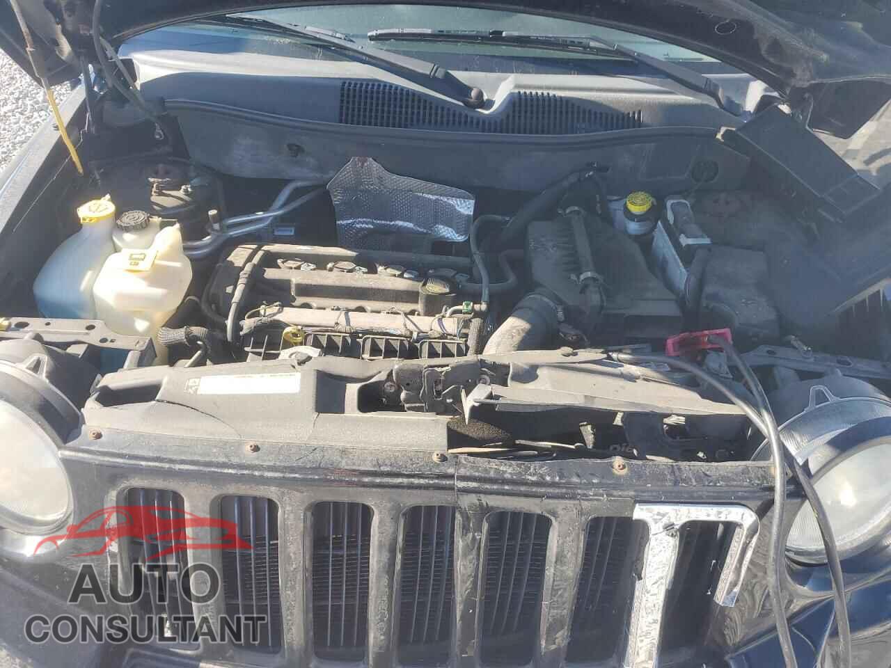 JEEP COMPASS 2009 - 1J4FT47A59D223304