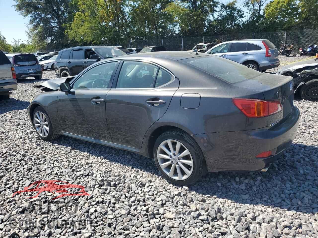 LEXUS IS 2010 - JTHCF5C29A5038075