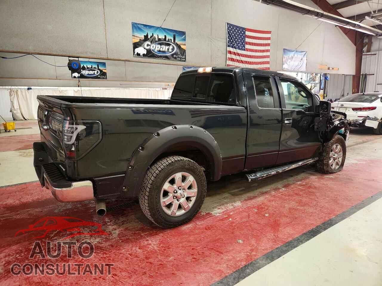 FORD F150 2013 - 1FTFX1EF1DFD98427