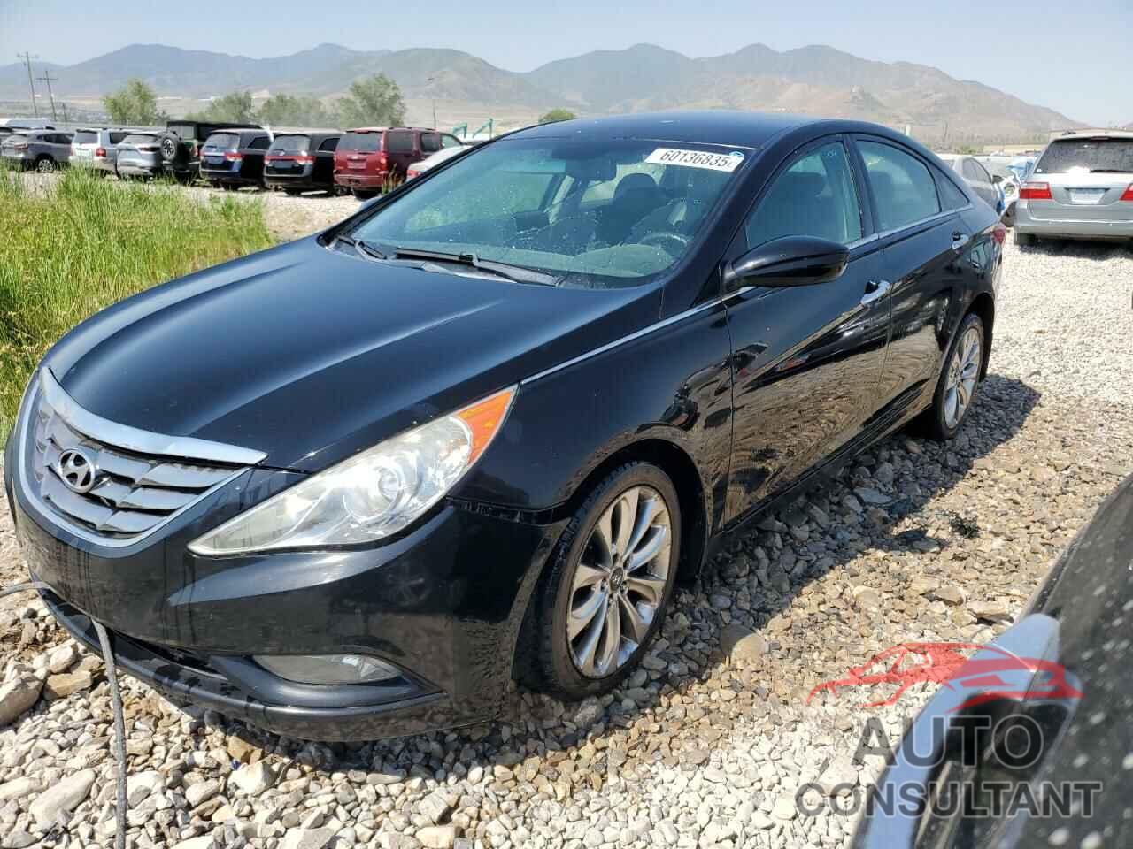 HYUNDAI SONATA 2011 - 5NPEC4AC7BH142929