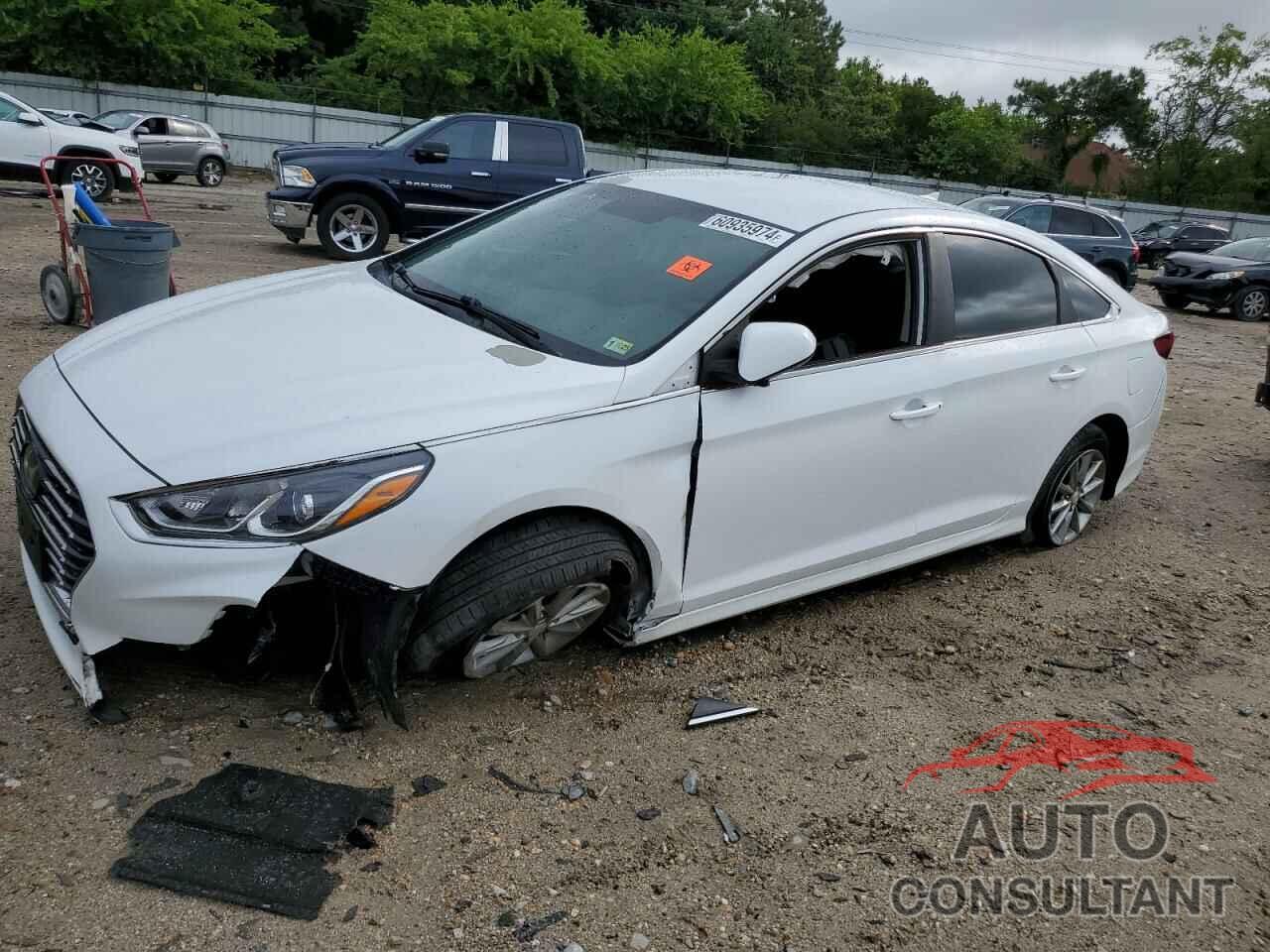 HYUNDAI SONATA 2019 - 5NPE24AF1KH737336