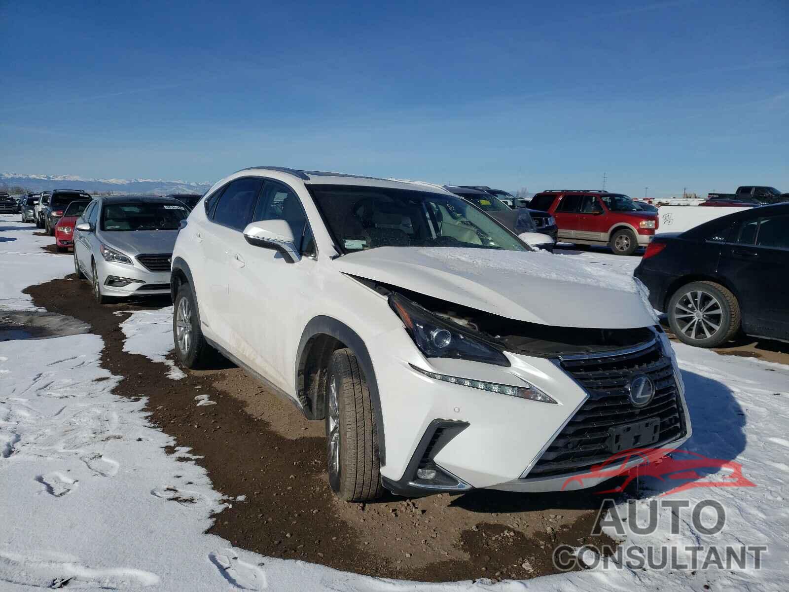 LEXUS NX 2019 - JTJBJRBZ2K2102944