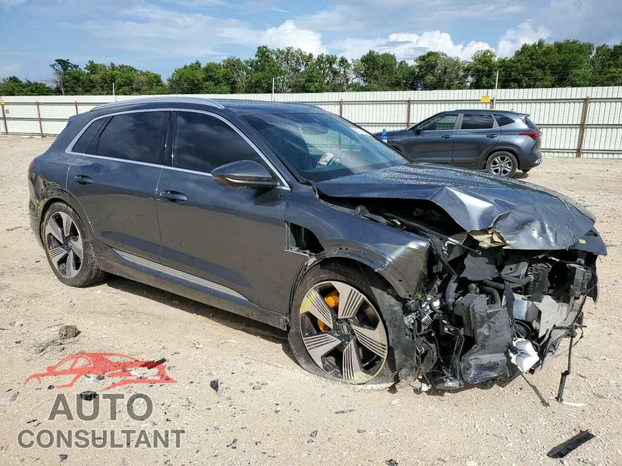 AUDI E-TRON 2019 - WA1VAAGE9KB007332