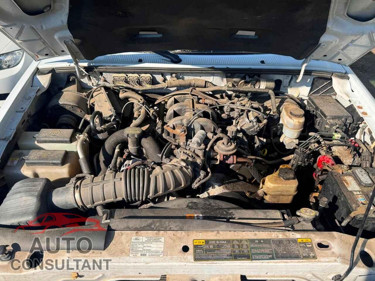 FORD RANGER 2011 - 1FTLR1FE0BPA57563