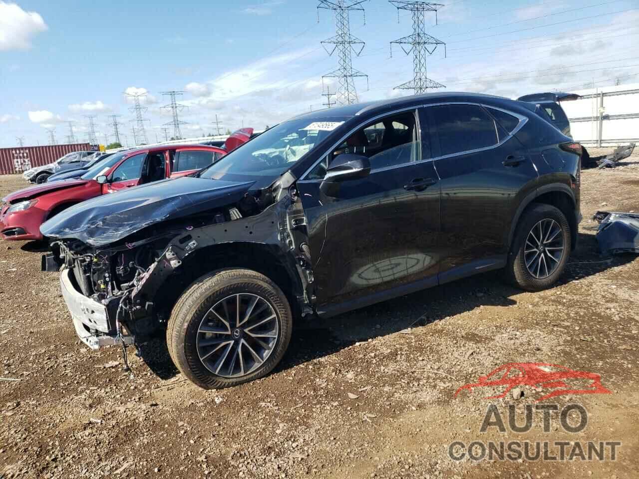 LEXUS NX 350 BAS 2024 - 2T2AGCEZ5RC054563