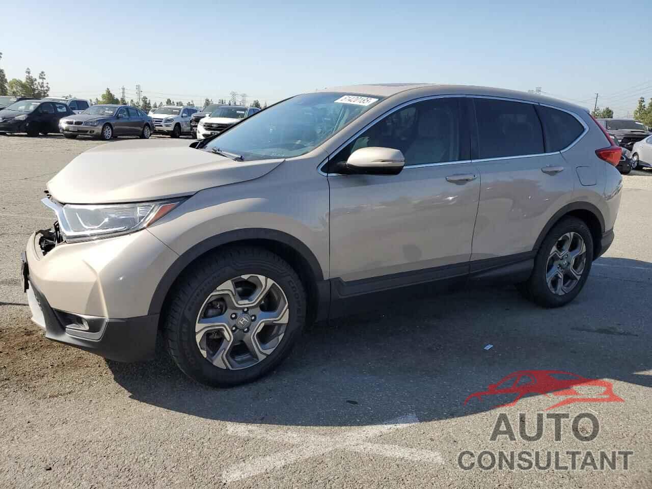 HONDA CRV 2019 - 5J6RW1H59KL006256