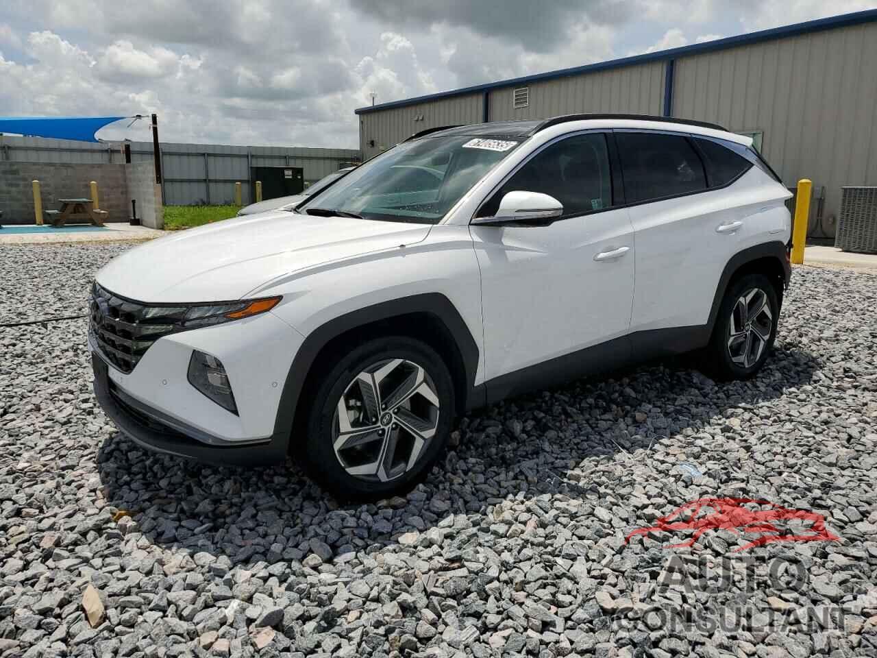 HYUNDAI TUCSON 2024 - 5NMJECDE5RH382973