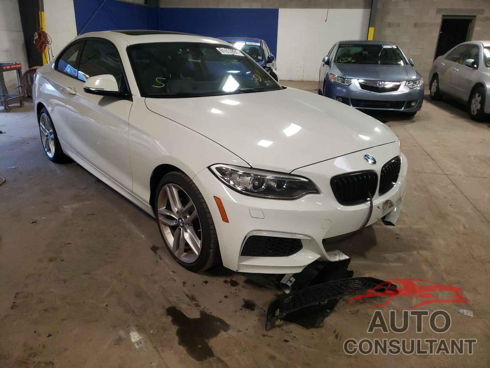 BMW 2 SERIES 2016 - WBA1G9C59GV598787