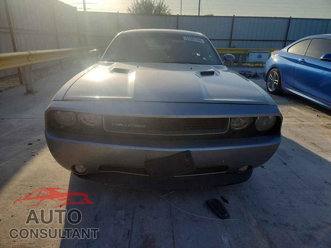 DODGE CHALLENGER 2013 - 2C3CDYAG0DH684419