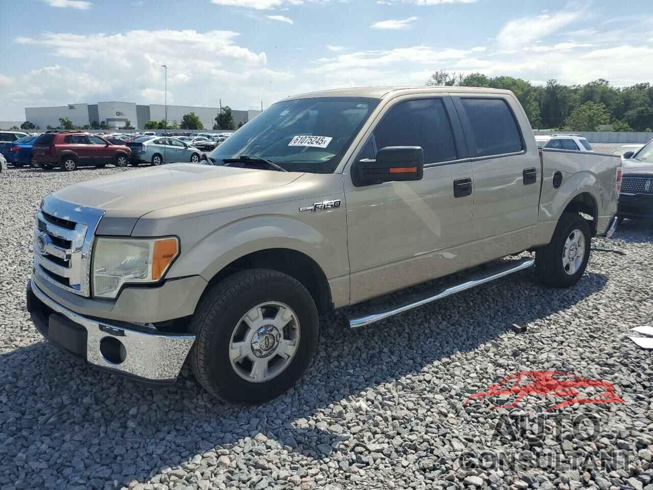 FORD F-150 2010 - 1FTFW1CVXAFD62924
