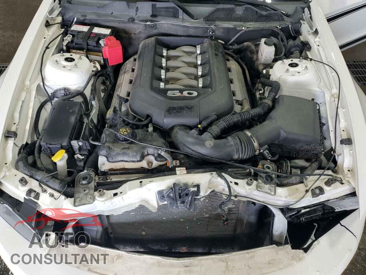 FORD MUSTANG 2011 - 1ZVBP8CF6B5100545
