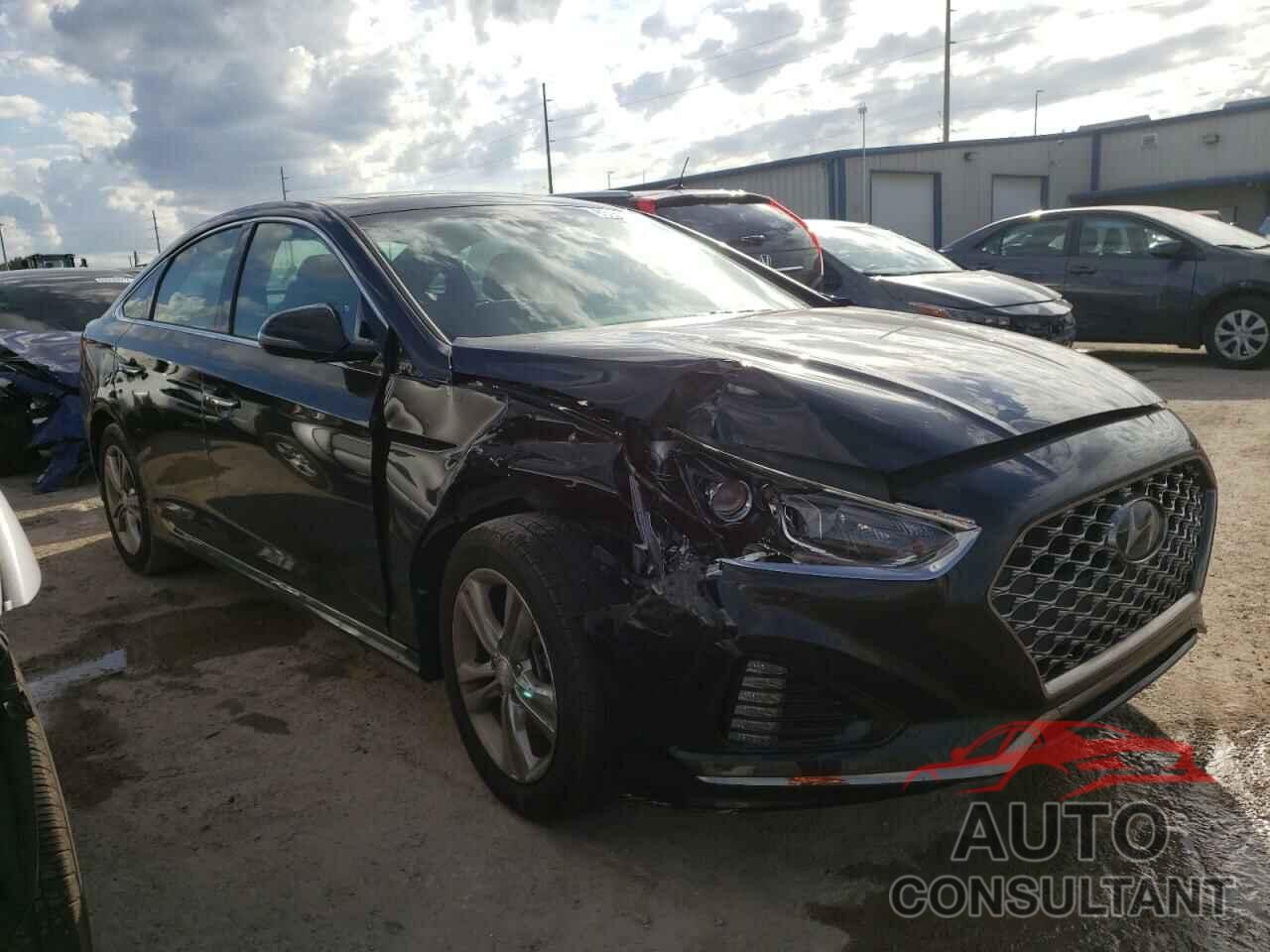 HYUNDAI SONATA 2019 - 5NPE34AF1KH732991