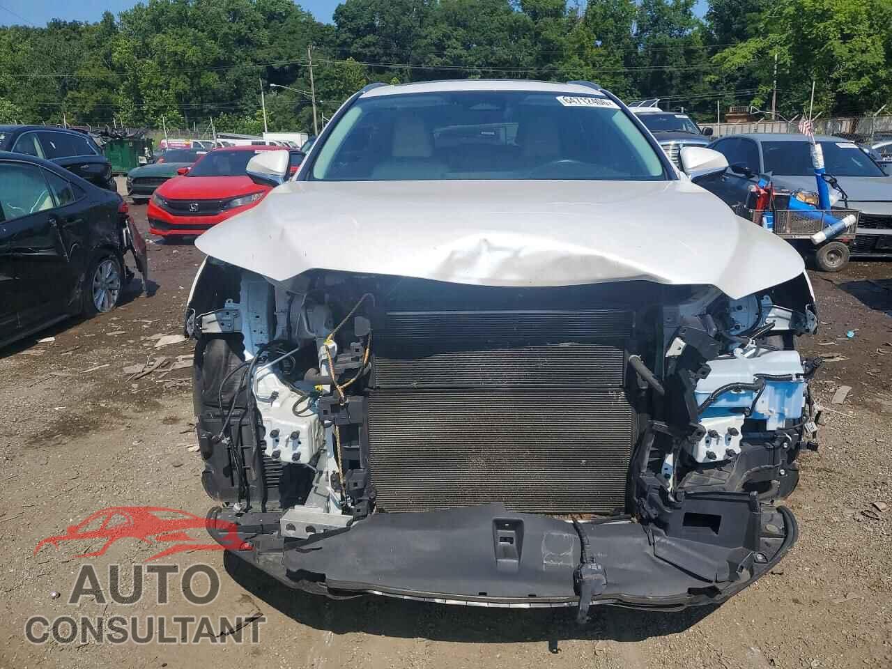 LEXUS UNKNOWN 2023 - 2T2BBMCAXPC021822