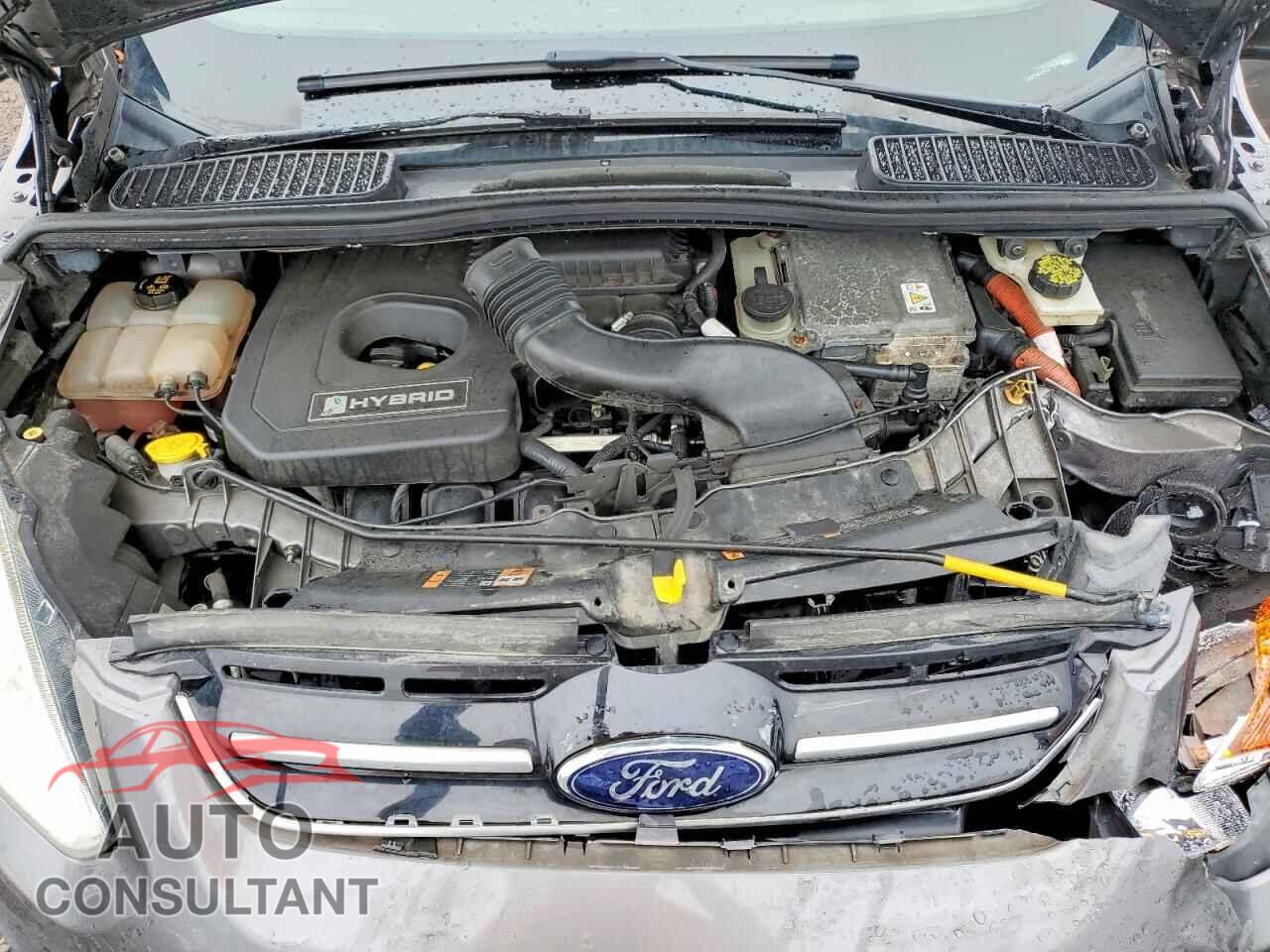 FORD CMAX 2014 - 1FADP5AU5EL517821