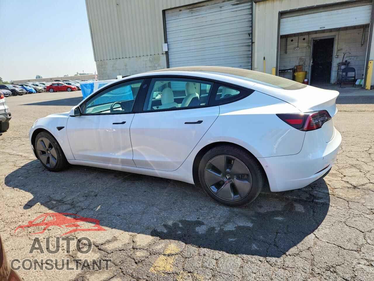 TESLA MODEL 3 2021 - 5YJ3E1EA9MF873291