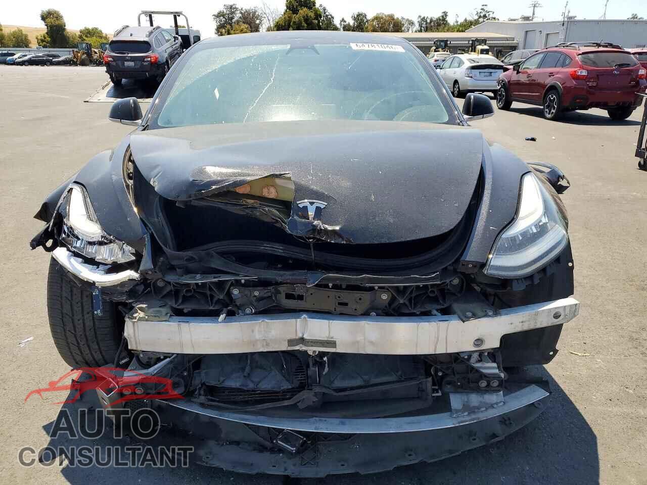 TESLA MODEL 3 2019 - 5YJ3E1EA9KF317057