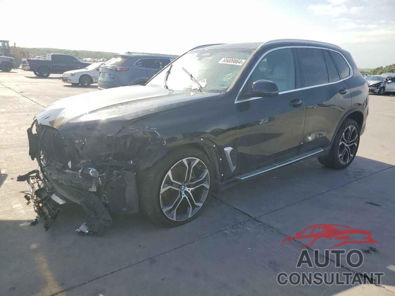 BMW X5 2024 - 5UX13EU01R9S90842