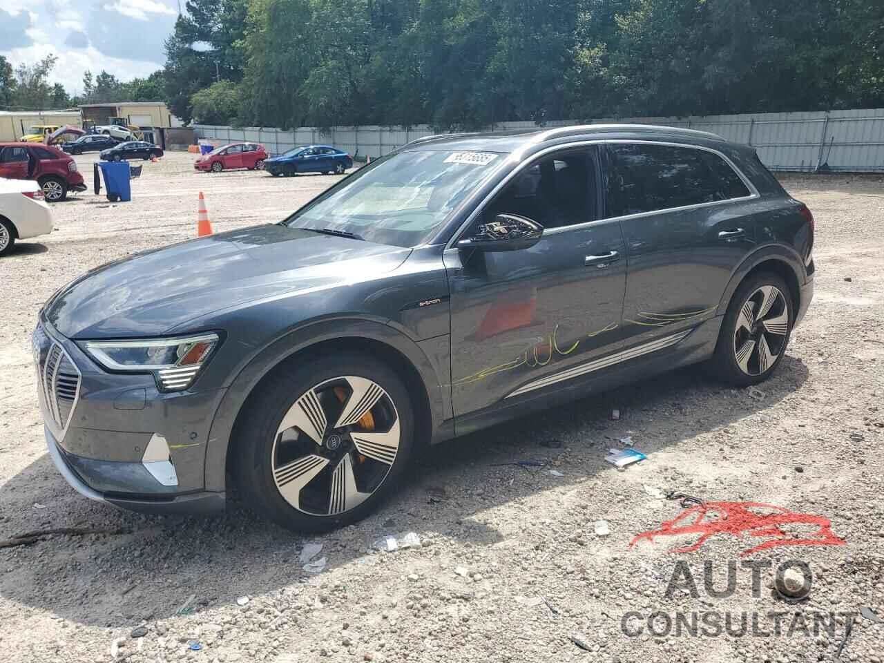 AUDI E-TRON 2019 - WA1VAAGEXKB007341