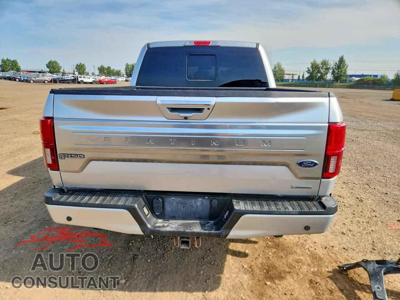 FORD F150 2019 - 1FTEW1E41KFA70533