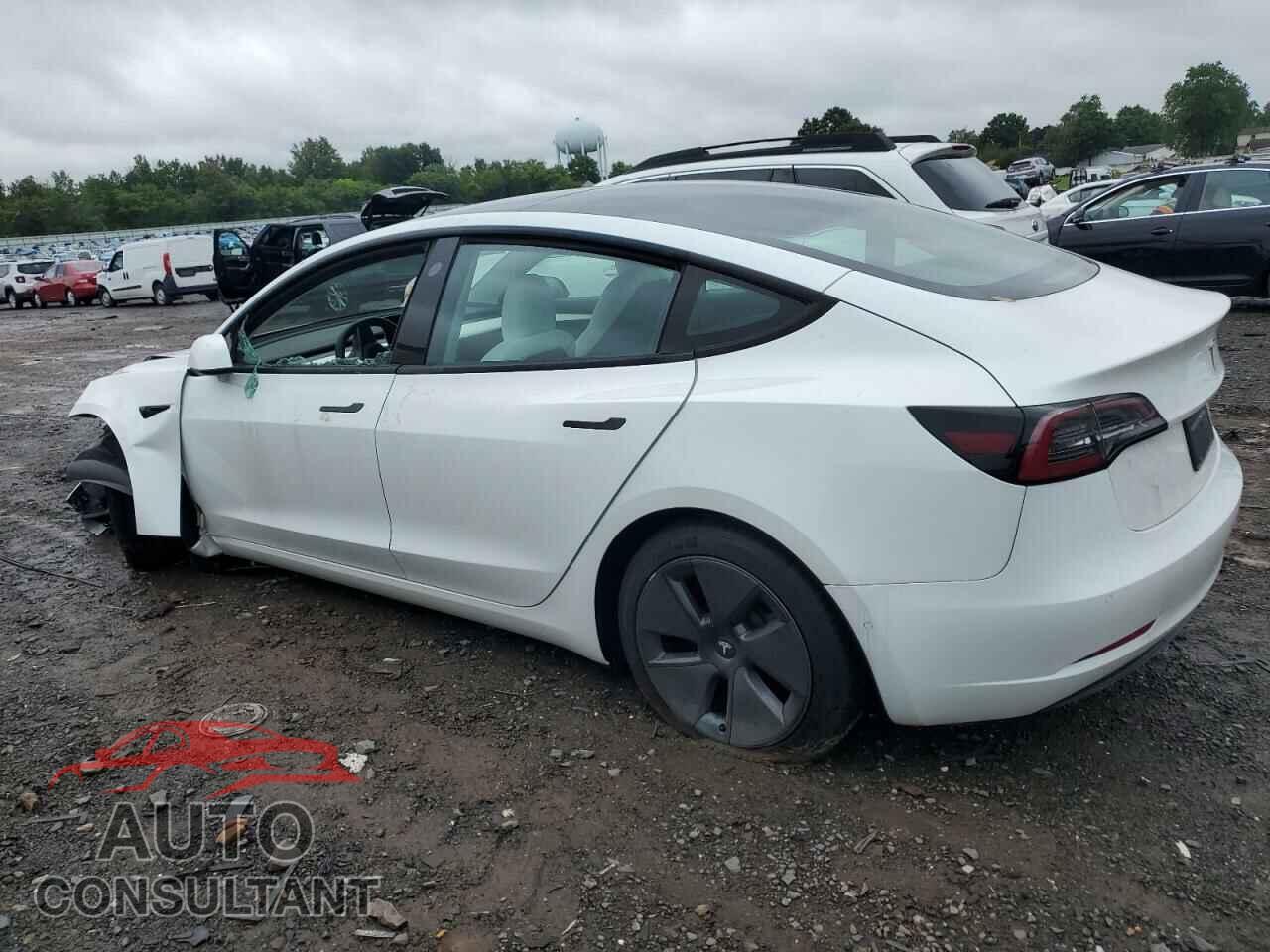 TESLA MODEL 3 2021 - 5YJ3E1EA0MF978298