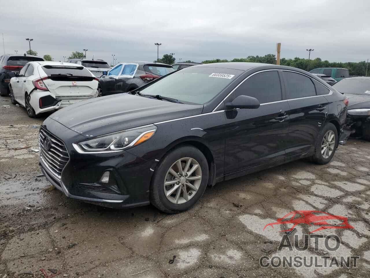 HYUNDAI SONATA 2019 - 5NPE24AF7KH804750