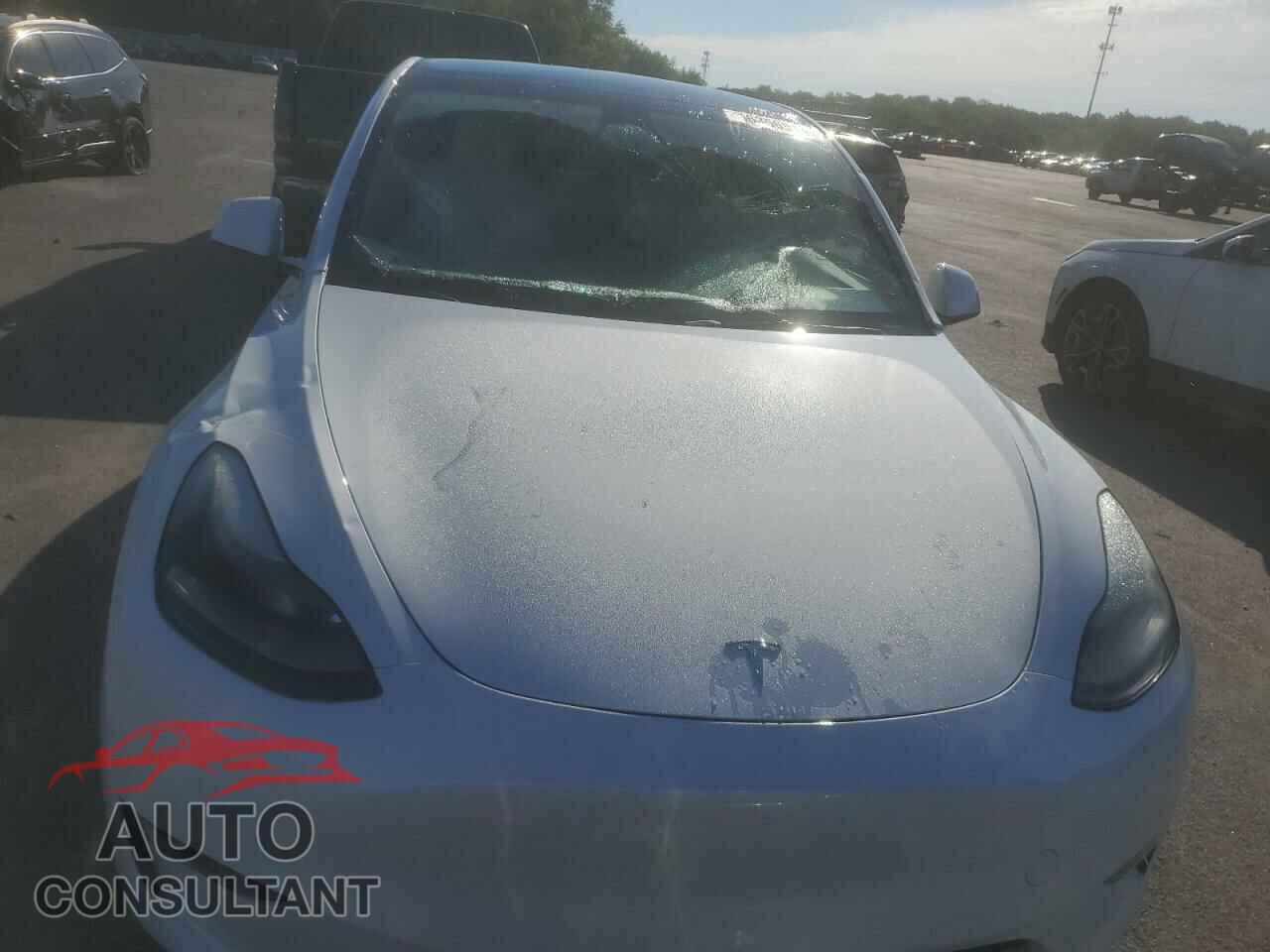 TESLA MODEL Y 2023 - 7SAYGAEEXPF664569