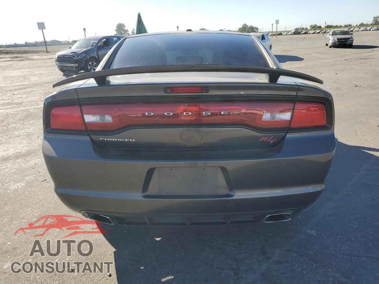 DODGE CHARGER 2014 - 2C3CDXCT2EH295187