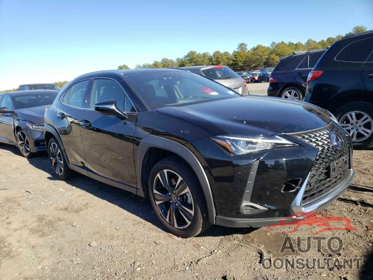 LEXUS UX 250H 2021 - JTHP9JBH3M2038506