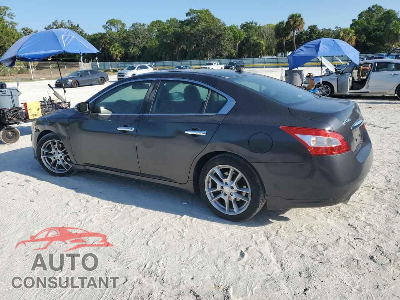 NISSAN MAXIMA 2010 - 1N4AA5AP1AC837811