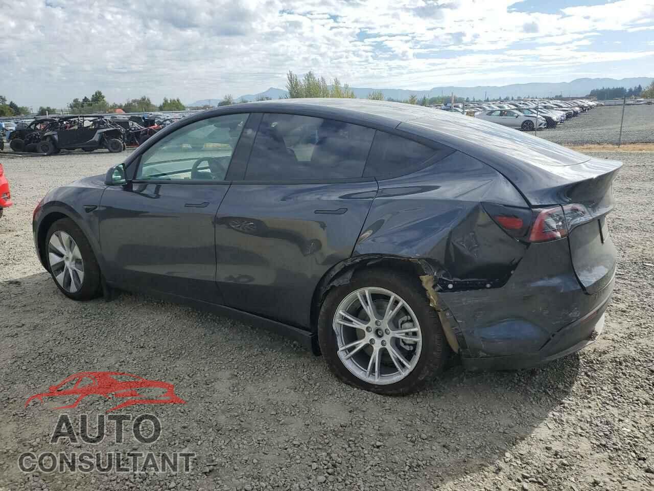 TESLA MODEL Y 2024 - 7SAYGDEE4RF063601
