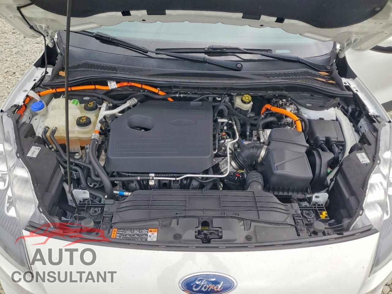 FORD ESCAPE 2020 - 1FMCU9DZ5LUA79723