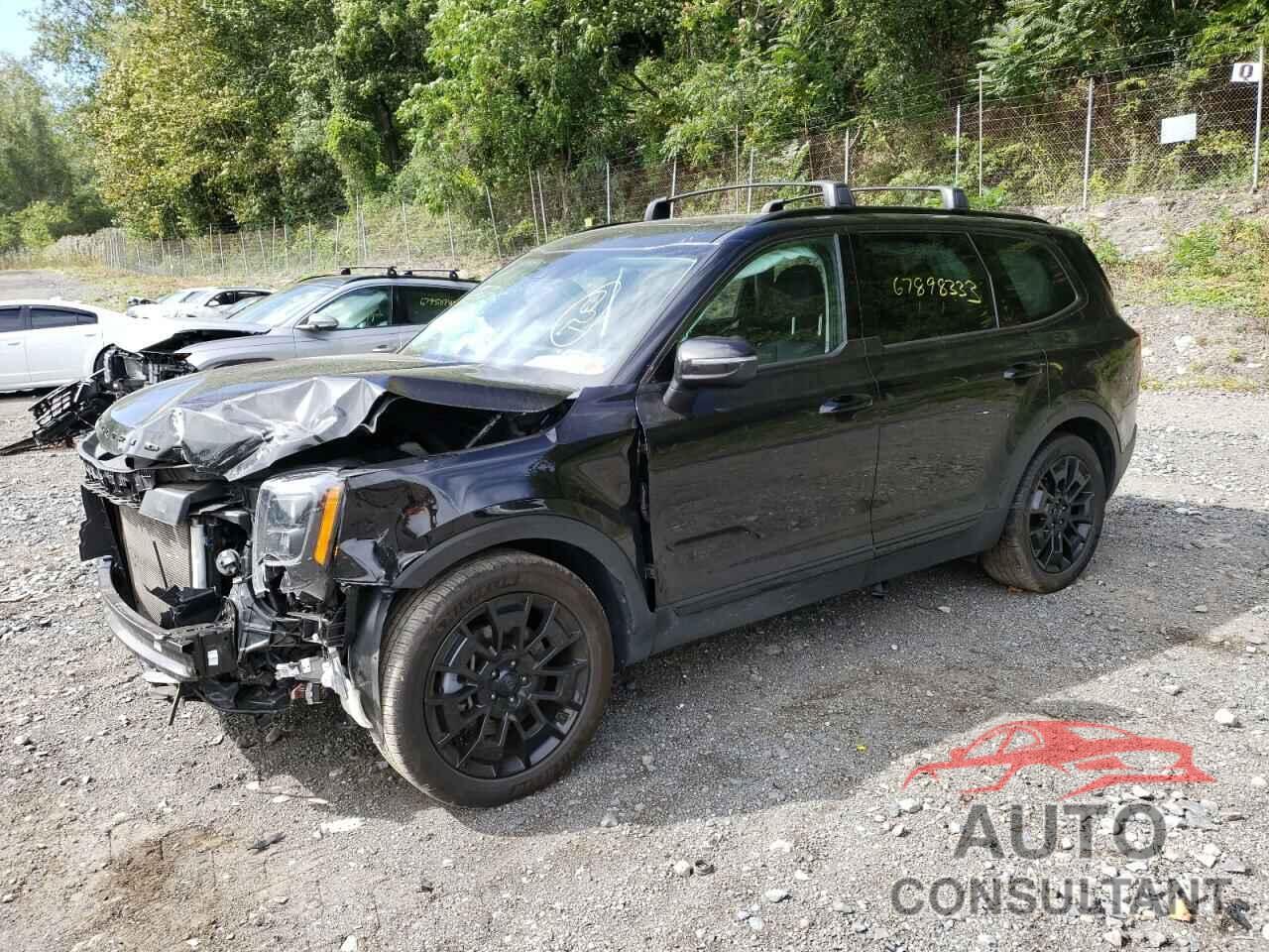 KIA TELLURIDE 2021 - 5XYP3DHC9MG144111