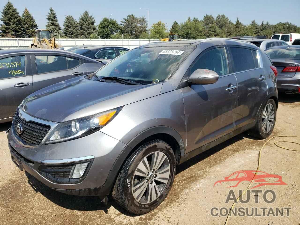 KIA SPORTAGE 2016 - KNDPC3ACXG7831118