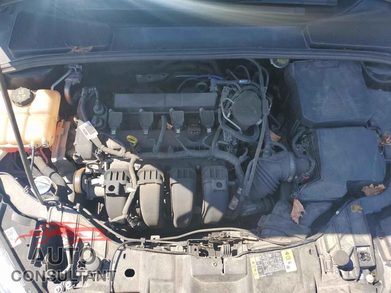 FORD FOCUS 2015 - 1FADP3K28FL359655
