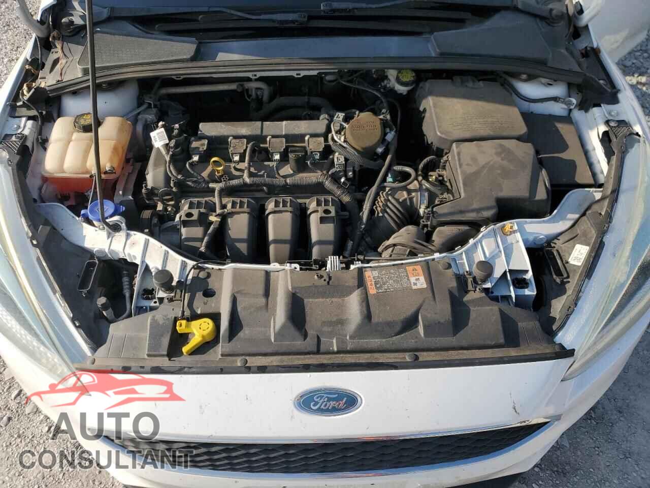 FORD FOCUS 2015 - 1FADP3F28FL316976
