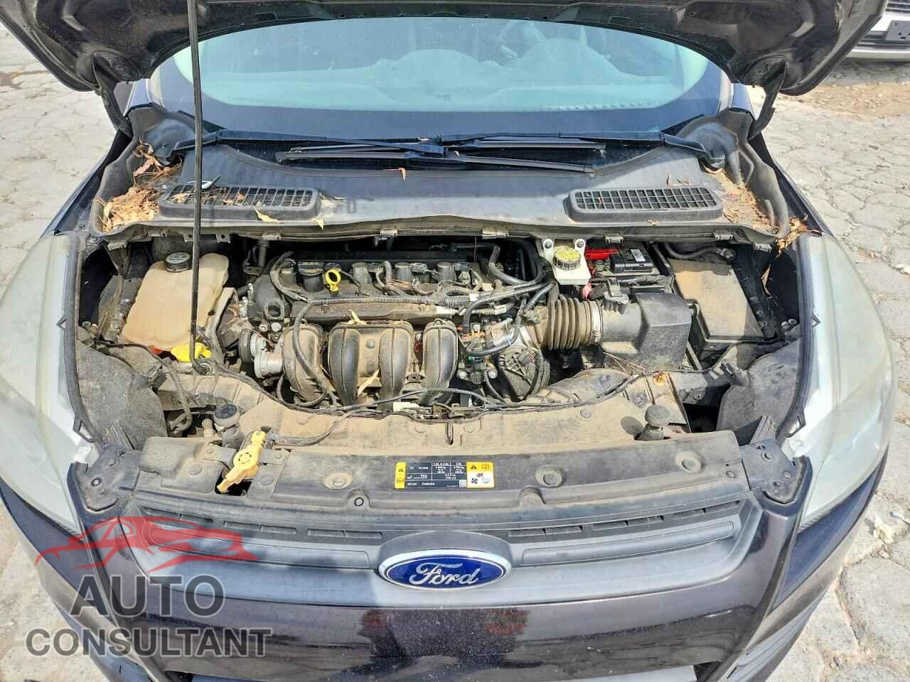 FORD ESCAPE 2013 - 1FMCU0F75DUA95266