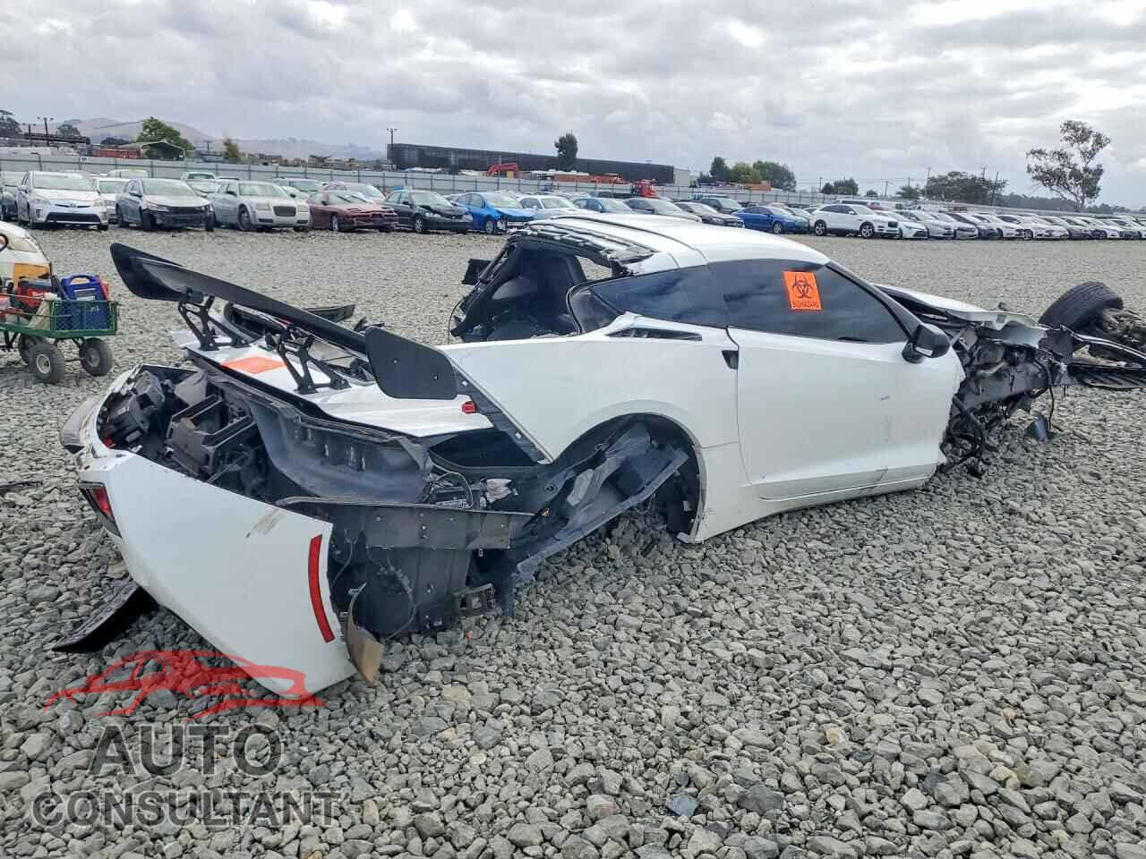 CHEVROLET CORVETTE 2019 - 1G1YF2D76K5116533