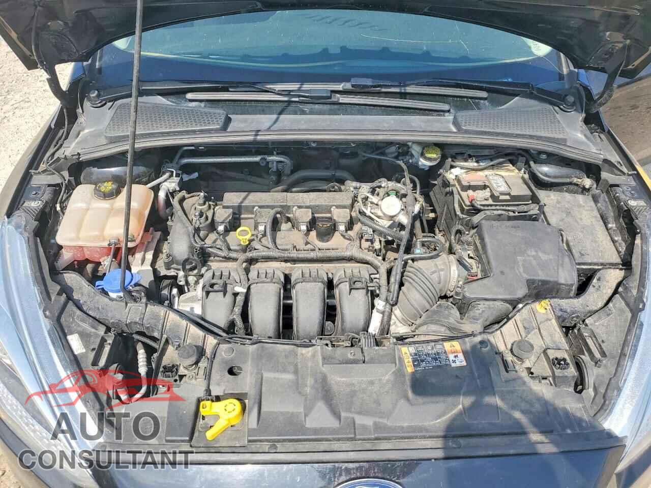 FORD FOCUS 2016 - 1FADP3F24GL348910