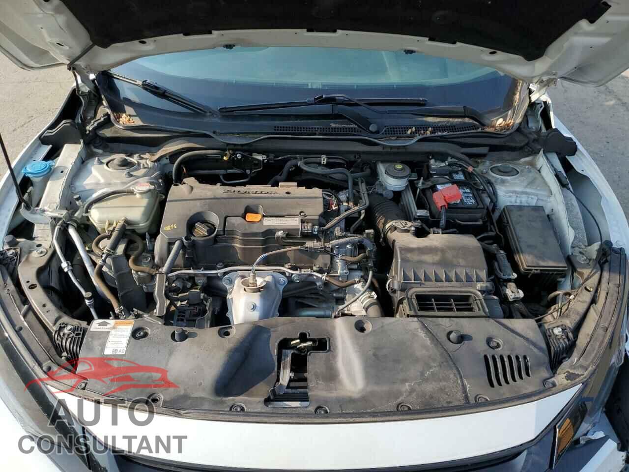 HONDA CIVIC 2019 - 2HGFC2F64KH510084