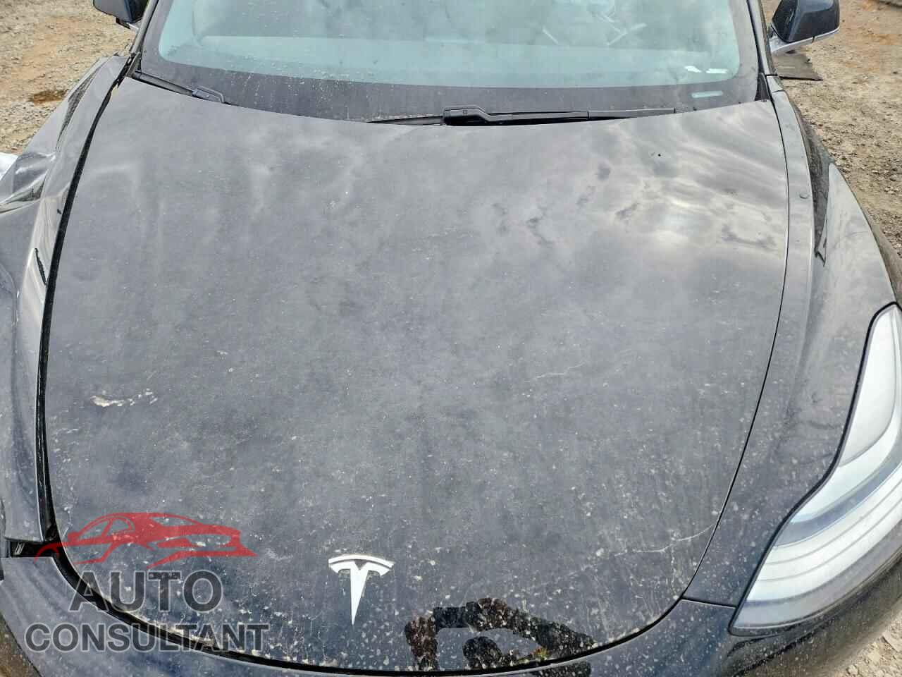 TESLA MODEL 3 2019 - 5YJ3E1EA9KF306138