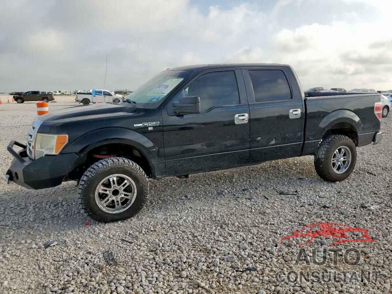 FORD F-150 2009 - 1FTRW128X9FA10978