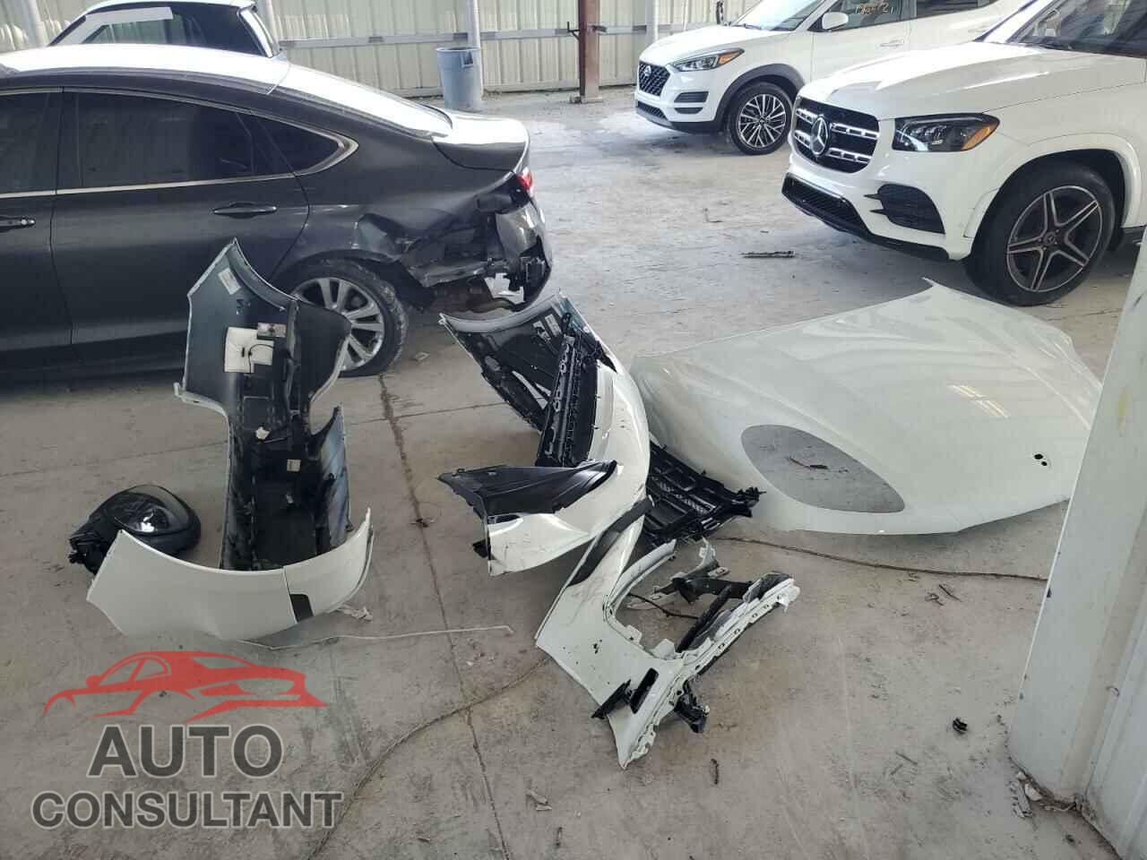 PORSCHE MACAN BASE 2024 - WP1AA2A58RLB13552