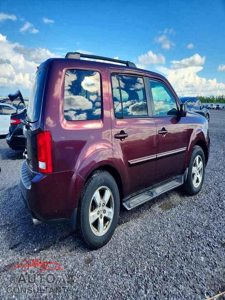 HONDA PILOT 2009 - 5FNYF48669B016512